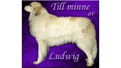 Ludwig